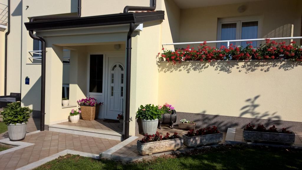 Apartmani Martincic Novigrad  Exterior photo